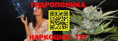 spice Камень-на-Оби