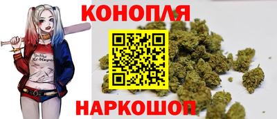 молекула духа Каменск-Шахтинский