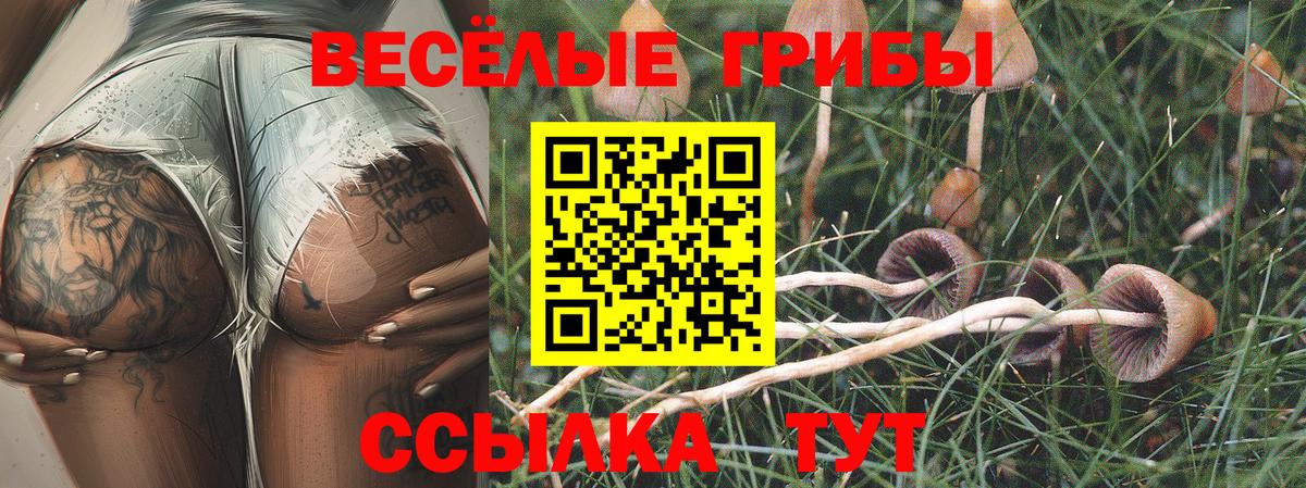 Галлюциногенные грибы мицелий  Вход с VPN  Богородск 